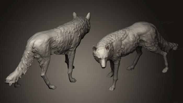 Статуэтки животных (Бронзовая статуя Волка, STKJ_0493) 3D модель для ЧПУ станка